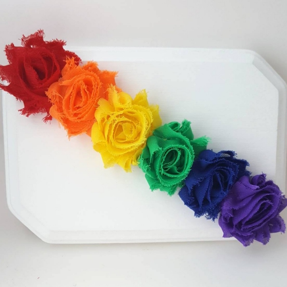Rainbow Flower Crown